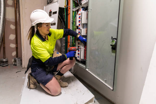 Best Electric Panel Repair  in Alvin, TX